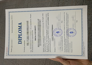 Óbuda University diploma-1