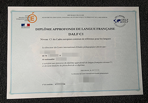 DELF DALF certificate