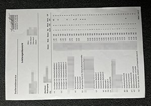 Universität Düsseldorf transcript