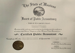 Montana Board of Public Accountancy CPA certificate