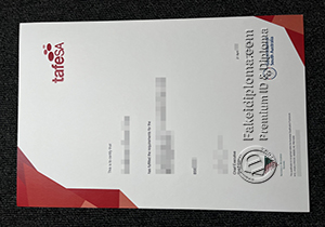 TAFE SA certificate