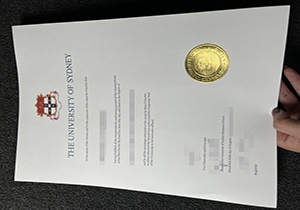 The University of Sydney degree