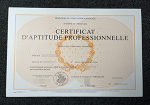 Academie De Versailles certificate