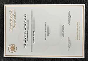 Blekinge Institute Of Technology diploma