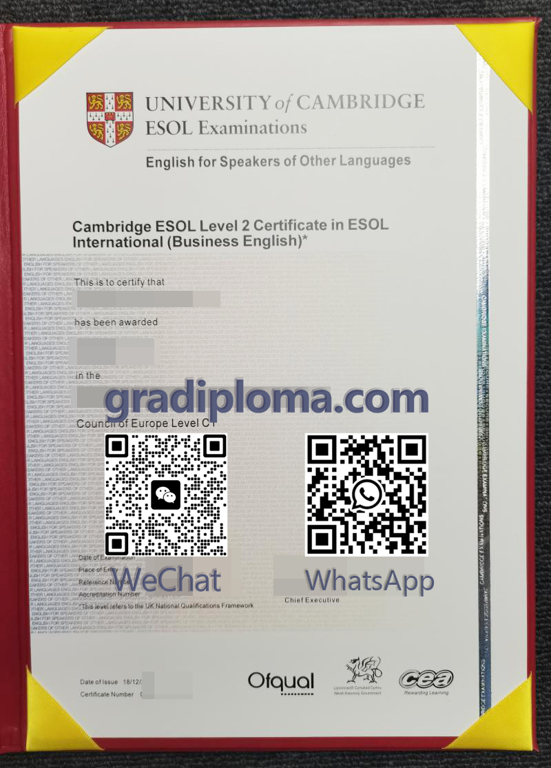 Cambridge ESOL Level 2 Certificate