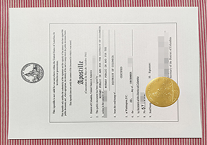 Columbia Apostille certificate