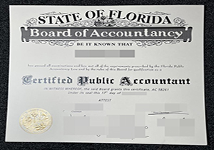 Florida CPA certificate-1