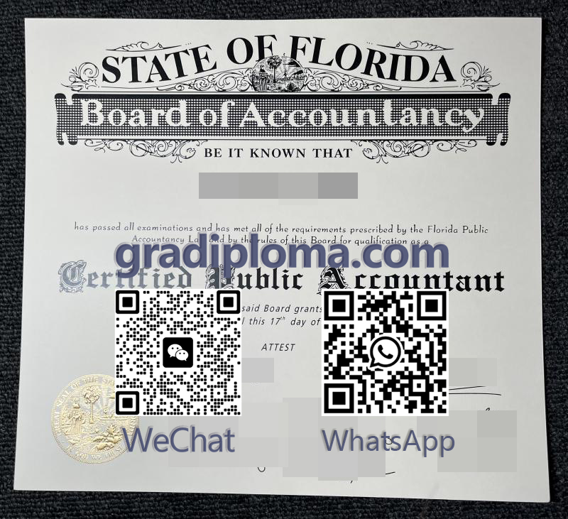 Florida CPA certificate