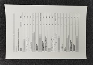 Hochschule Rhein-Waal transcript