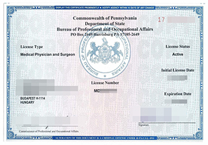 Hungary License Certificate