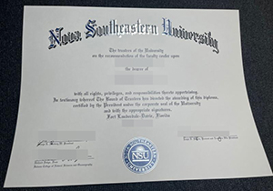 NSU diploma-1