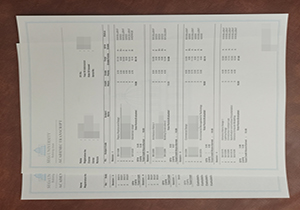 Segi University academic transcript