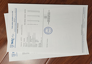 TARC academic transcript