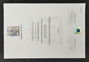 Teesside University diploma