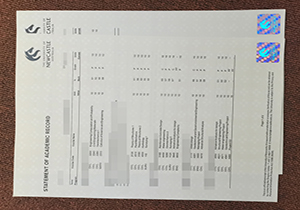 The University of Newcastle transcript