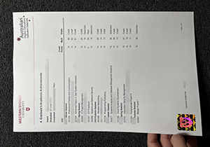 WSU academic transcript