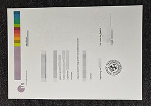 Universität Regensburg diploma