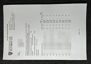 University of Plymouth transcript