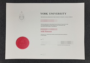 York University degree