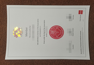 ACCA certificate member