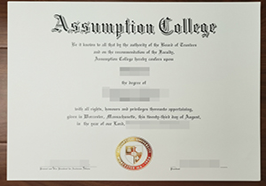 Assumption College degree