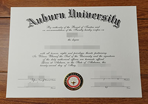 Auburn University degree