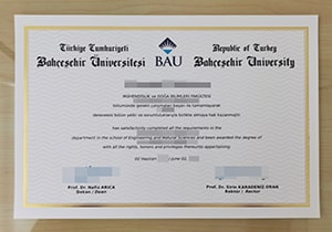 Bahcesehir University degree