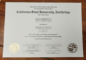 CSUN degree