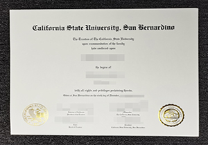 CSUSB degree