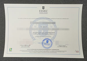 Essec Business School degree