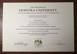 Hofstra University degree