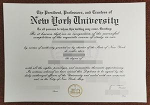 New York University degree-1