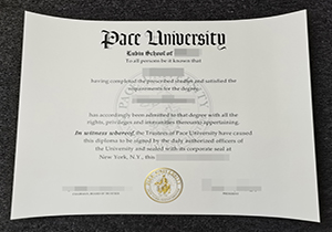 Pace University degree