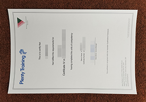 Plenty Training certificate