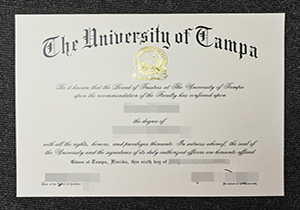 The University of Tampa diploma