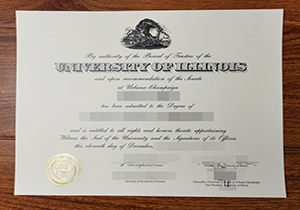 UIUC degree