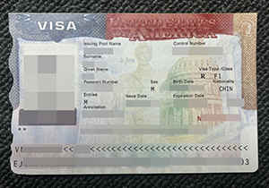 USA VISA-1