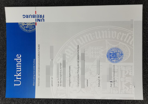 Universität Freiburg diploma-1