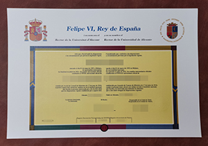 Universitat d'Alacant diploma