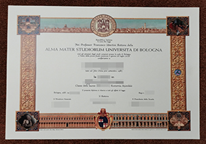 University of Bologna diploma