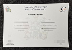 University of Glamorgan degree