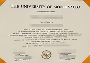 University of Montevallo degree-1