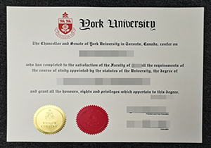 York University degrees