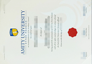 Amity University degree