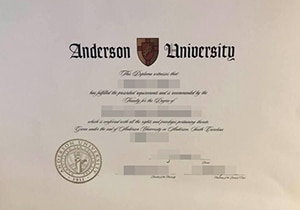 Anderson University degree