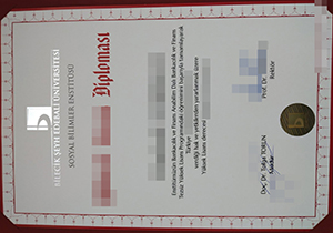 Bilecik Seyh Edebali Üniversitesi diploma