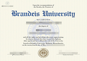 Brandeis University degree