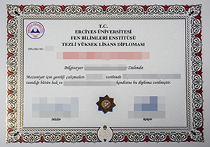 Erciyes Üniversitesi diploma