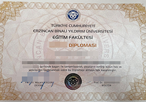 Erzincan Binali Yildirim Üniversitesi diploma