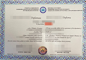 Eskisehir Osmangazi Üniversitesi diploma